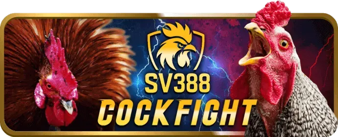Ưu đãi đá gà sshbet