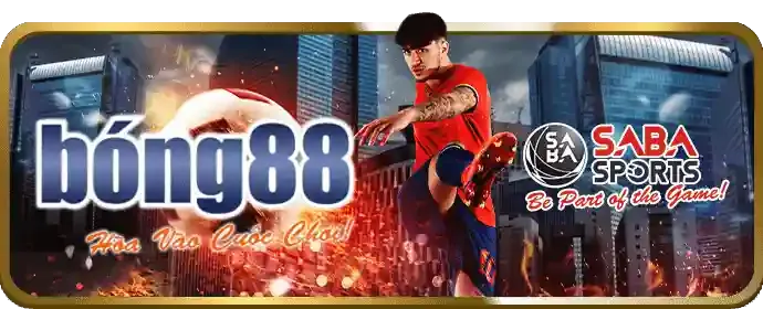 Minh họa chính sách cookie của SSHBET
